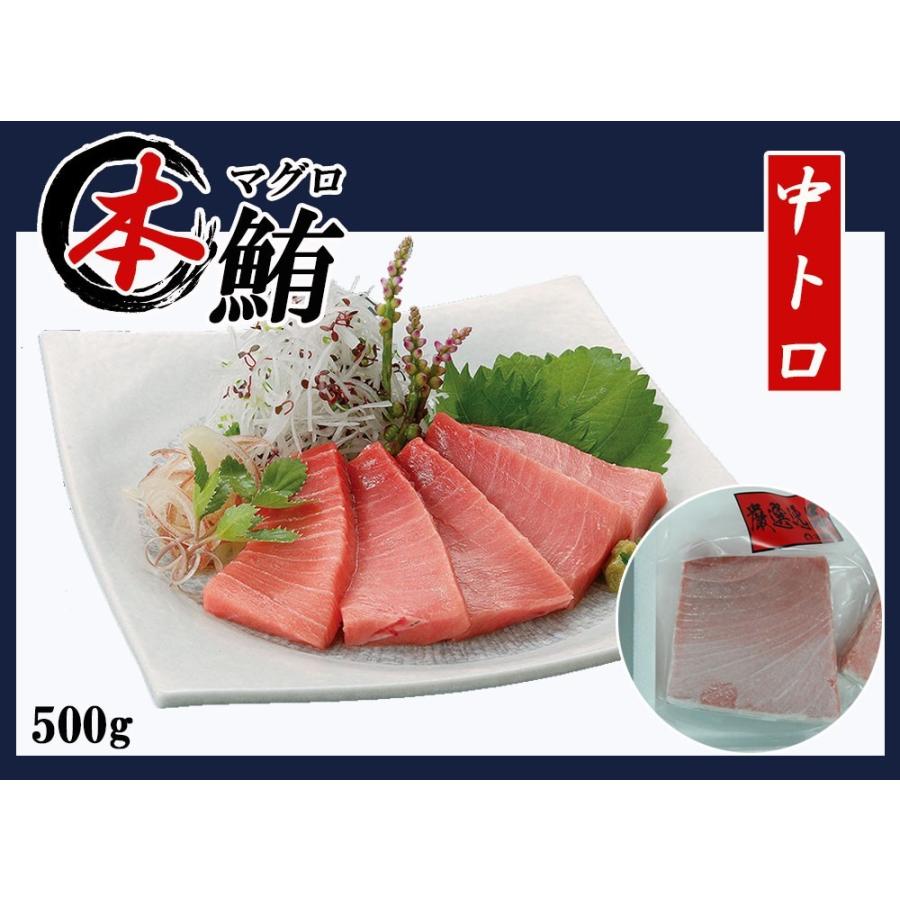まぐろ 本マグロ 中トロ 500g 送料無料 刺身 マグロ 鮪 本まぐろ トロ Tt C 500 太陽のレモン 通販 Yahoo ショッピング