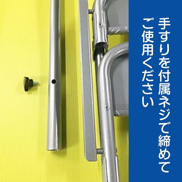 トラック 昇降台 2段 手すり付き STEPS 2-DS 階段 ステップ 梯子