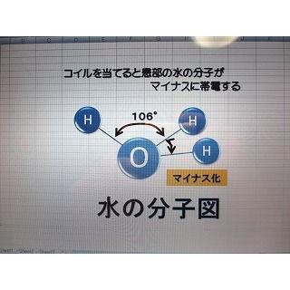 家庭用電気磁気治療器 バイオイーザーBR-701II(詳しい資料付 家庭用電気磁気治療器 バイオイーザーBR-701II(詳しい資料付