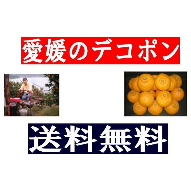 愛媛 わけあり デコちゃん(通称デコポン)4kg送料無料 愛媛 わけあり デコちゃん(通称デコポン)4kg送料無料