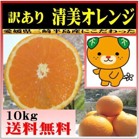 清見オレンジ 約10kg　愛媛産 送料無料 ＜少し　訳あり＞｜taiyoya5577