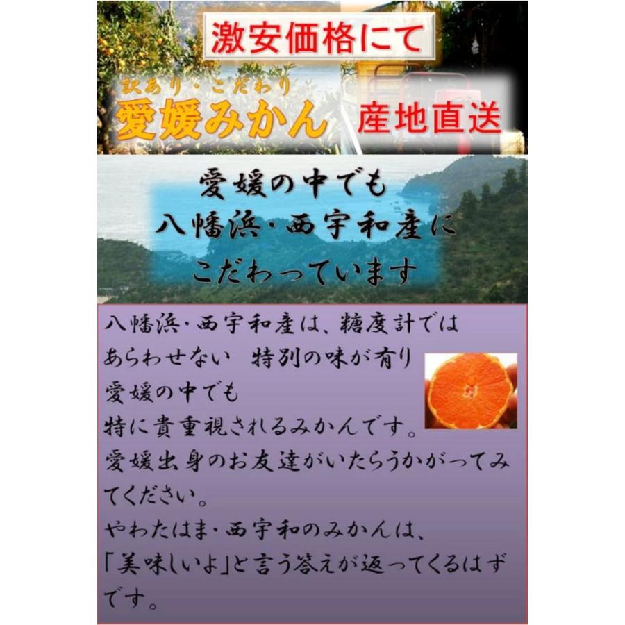 愛媛みかん１０ｋｇ ２家庭用お買い得少し訳あり Mikann kg みかんの大漁屋 通販 Yahoo ショッピング
