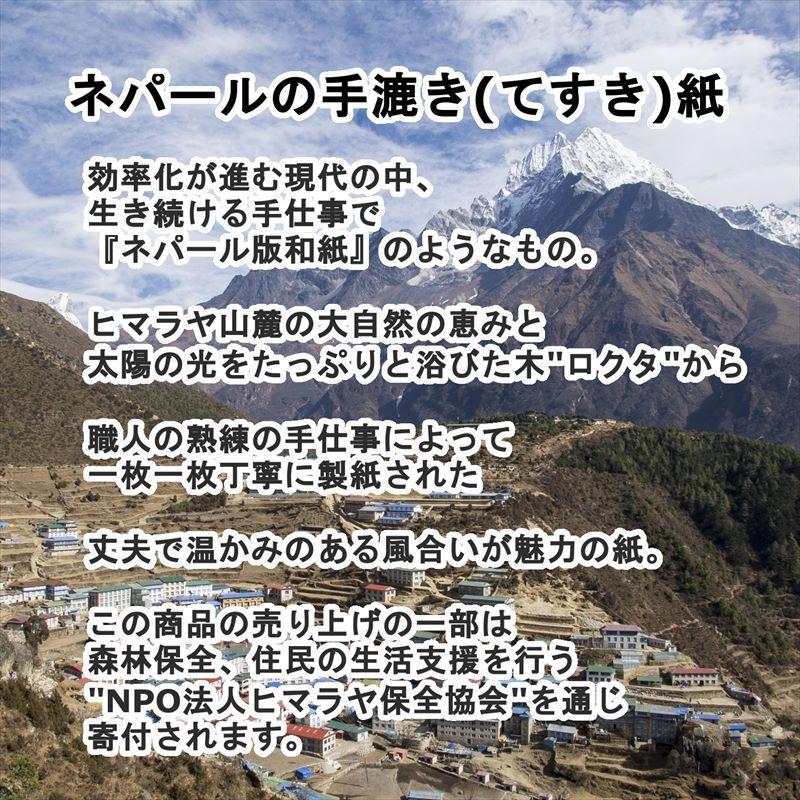 ハワイアン 海 カレンダー 35 ホヌ 亀 カメ 23 手漉き紙 ポスター 絵 インテリア雑貨 壁掛け ハワイアン雑貨 イラスト 絵画 おしゃれ かわいい メール便 C21n35 Honu アートパネル 太陽雑貨ren 通販 Yahoo ショッピング