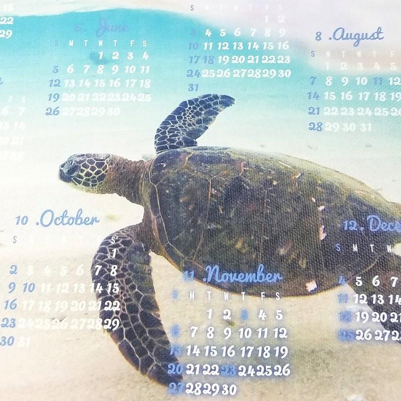 ホヌ ハワイアン カレンダー 22年 壁掛け キャンバス生地 海辺 ウミガメ キャンバスアートパネル おしゃれ かわいい ミドリガメ 亀 カメ C27 Ysk アートパネル 太陽雑貨ren 通販 Yahoo ショッピング