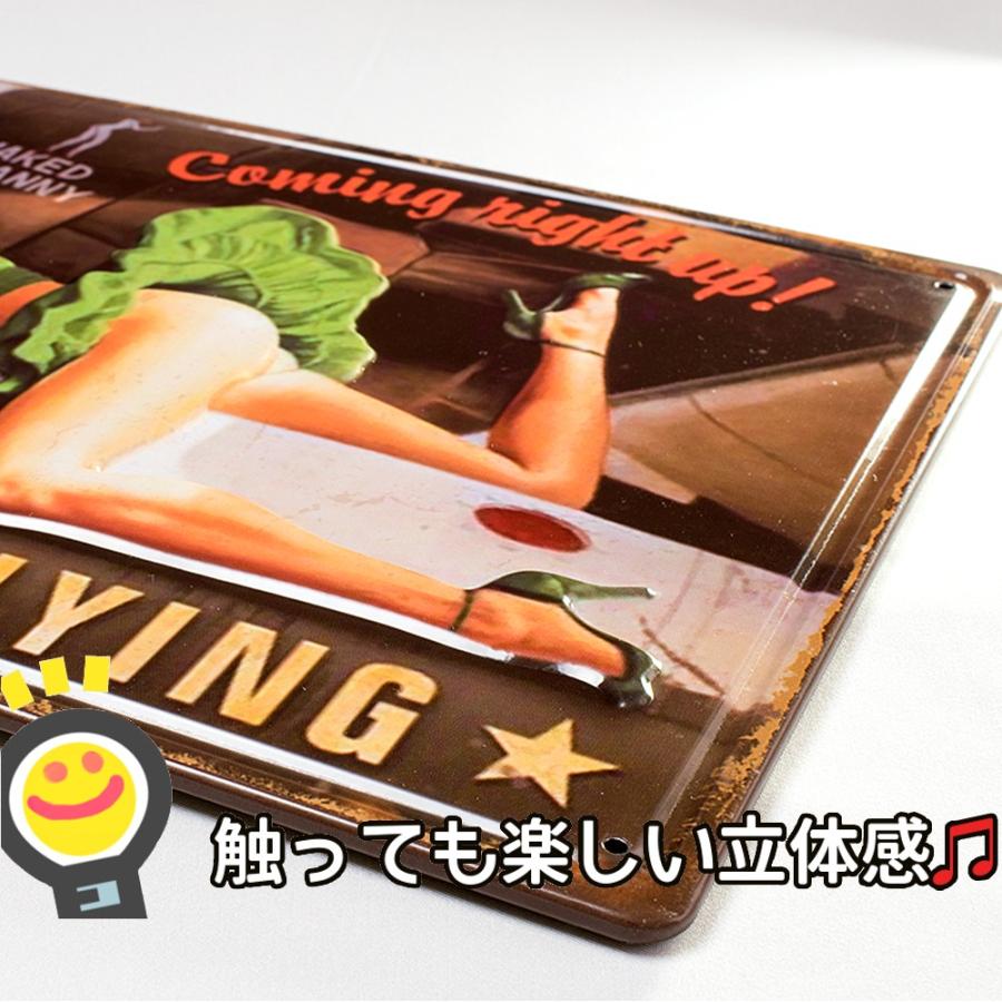再販ご予約限定送料無料 ブリキ看板 アメリカン 飛行機 ポスター Ebn インテリア 戦闘機 ミリタリー ピンナップガール セクシーガール おしゃれ アメリカン雑貨 Supplystudies Com