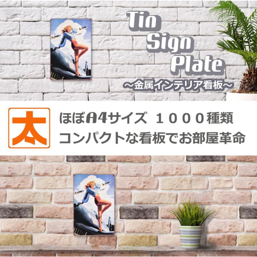 ブリキ看板 飛行機 555 インテリア ポスター ピンナップガール Pla 555 アートパネル 太陽雑貨ren 通販 Yahoo ショッピング