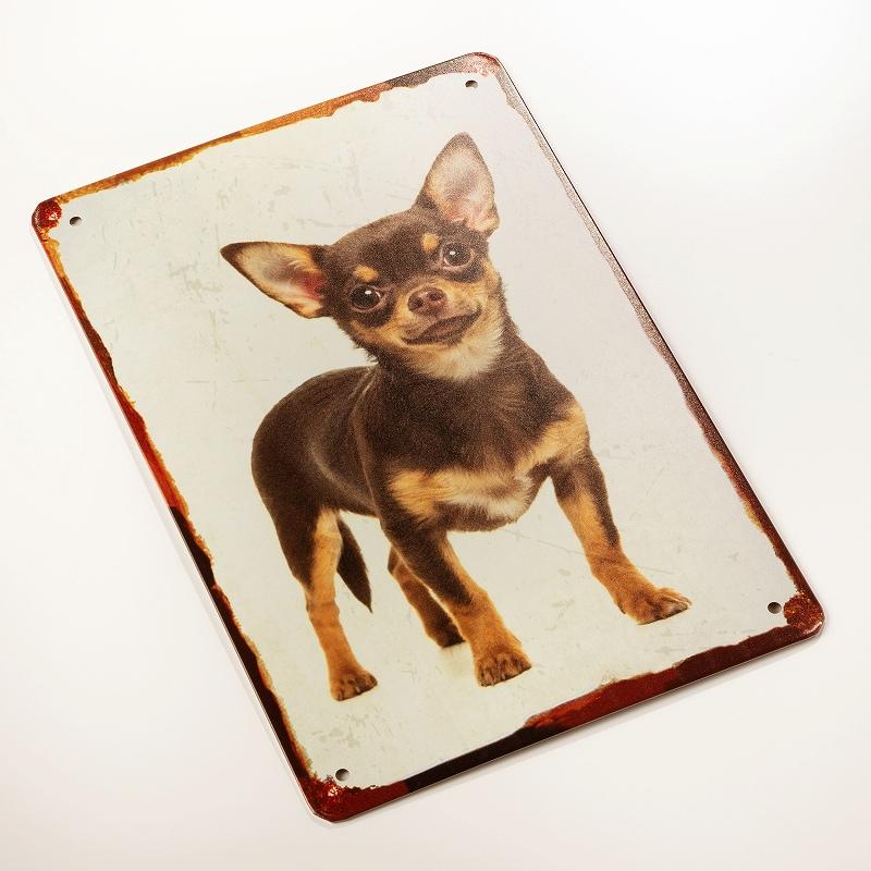 アートパネル 犬 ブリキ看板 チワワ チョコタン ポスター 絵 グッズ