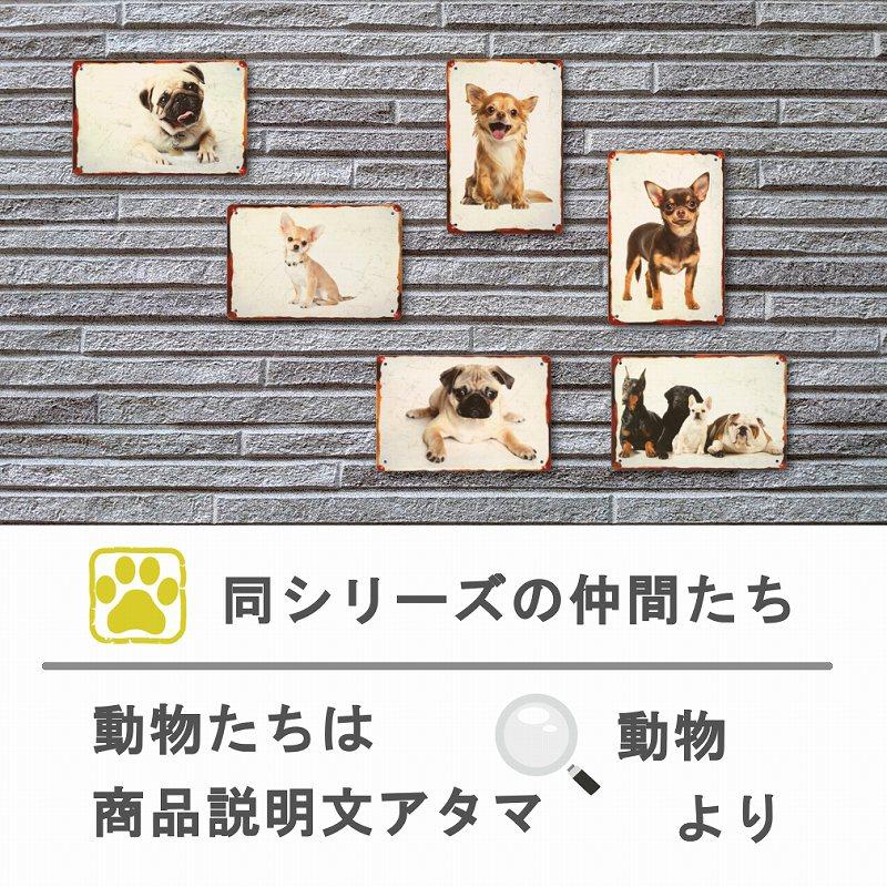 ブリキ看板 犬 チワワ ガーデン ポスター 絵 壁掛け グッズ ブリキ看板 犬 チワワ ガーデン ポスター 絵 壁掛け グッズ