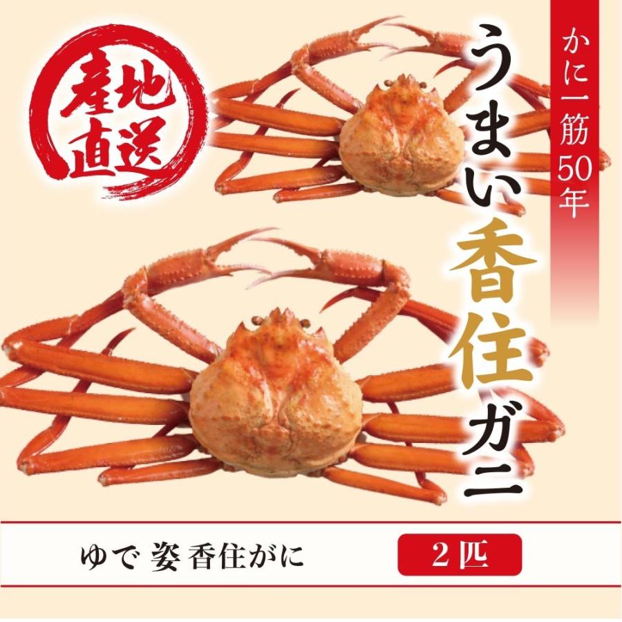 国産応援商品 厳選ゆで姿香住ガニ約1kg 500g前後 2匹 贈り物にも好評 香住漁港直送 Kasumigani Yude500 たじマート 通販 Yahoo ショッピング