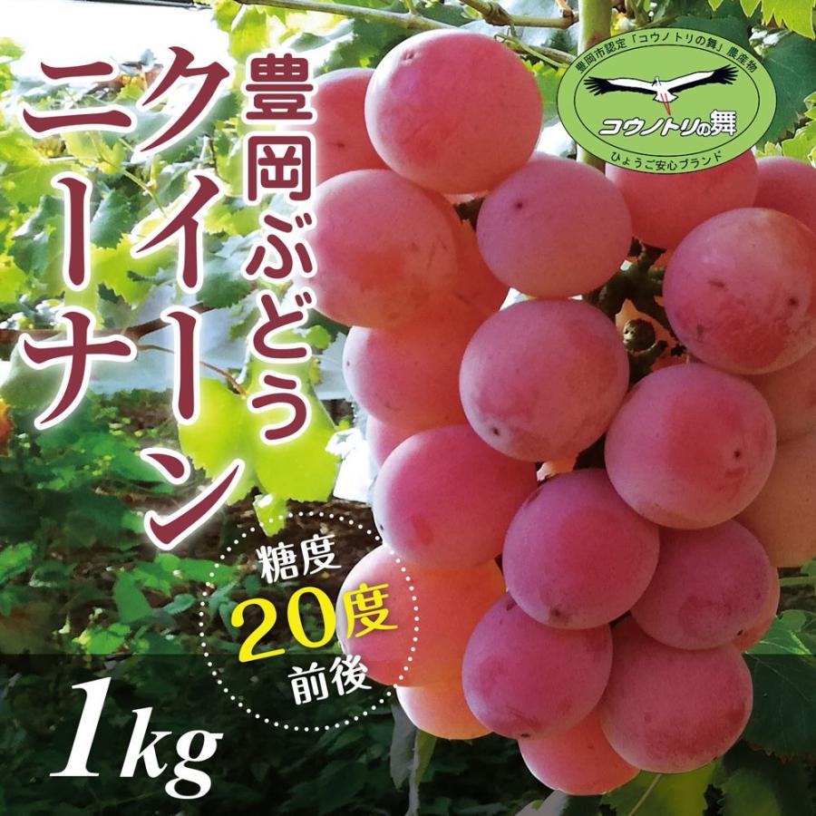 お試し用 豊岡ぶどう クイーンニーナ1kg B品 約2房 糖度度前後 大粒種なし 農園直送 兵庫県産 Oyokabudo Quinb たじマート 通販 Yahoo ショッピング