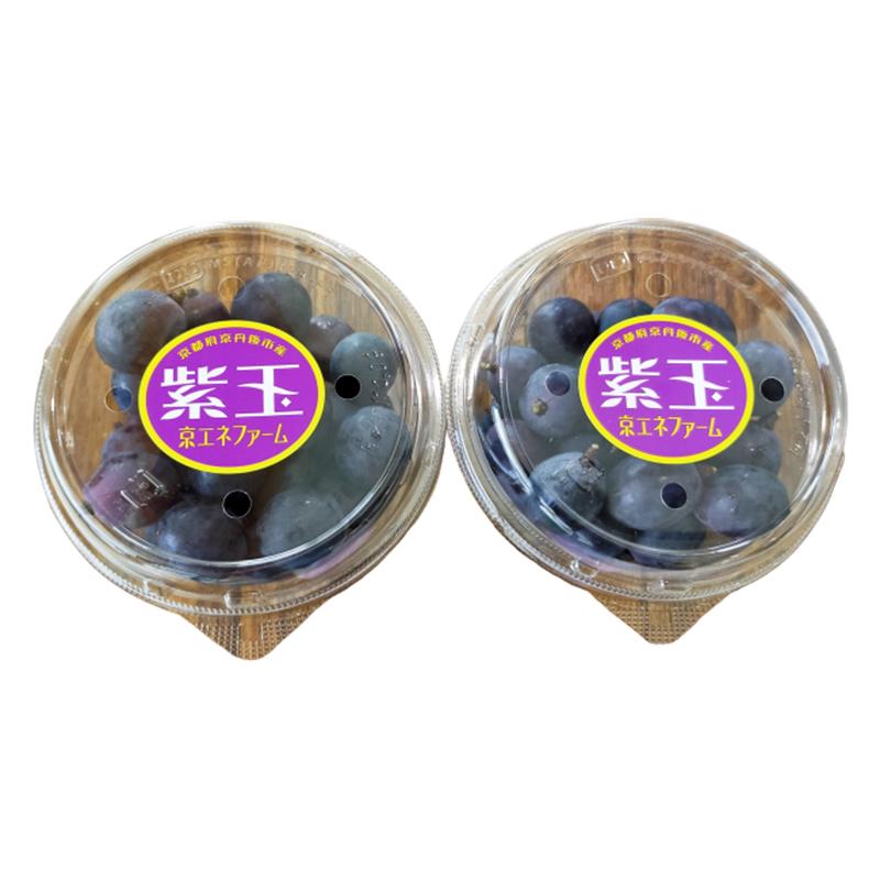 お得なパック入 種なしぶどう紫玉約1kg 2パック 京都産 濃厚な甘さと程よい酸味 農園直送 Sigyokupack2 たじマート 通販 Yahoo ショッピング