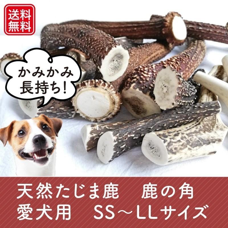 愛犬用鹿の角 Mサイズ １本 小 中型犬 無添加 専用パック入りで清潔 安心 お口にやさしい面取り加工 兵庫県但馬産本州鹿 Wan Tuno M たじマート 通販 Yahoo ショッピング