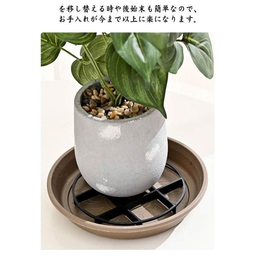 盆栽中品：ボケ／国華/プラ鉢/／底土改良済／根腐れ防止剤処置済 爆買 底石 根腐れ防止 植木鉢 置き 排水 受け皿 5個セット 根腐れ予防