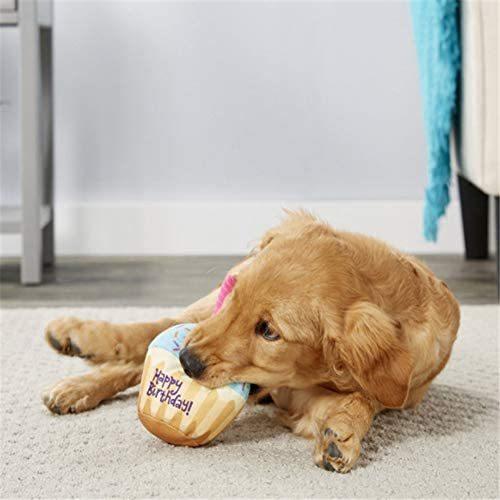 Botocoo 犬 おもちゃ噛むおもちゃぬいぐるみ誕生日ケーキバースデーケーキ猫の子犬犬 誕生日 お誕生日飾り 2 A Takae Vsp19v2ef Takae Shop 通販 Yahoo ショッピング