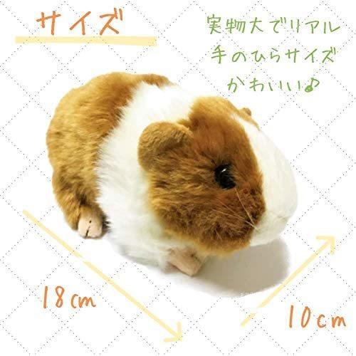 Shantrip かわいい モルモット ぬいぐるみ 天竺鼠 テンジクネズミ ふわふわ 人形 ギフト 贈り物 ブラウン ブラウン Takae Vsp29v5hj Takae Shop 通販 Yahoo ショッピング