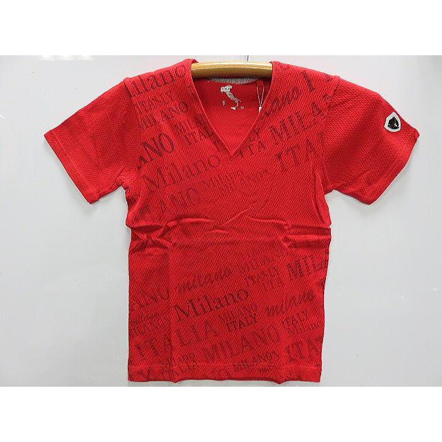 VIOLA rumore 半袖Tシャツ Vネック 総柄プリント切替 : takafuku1915 