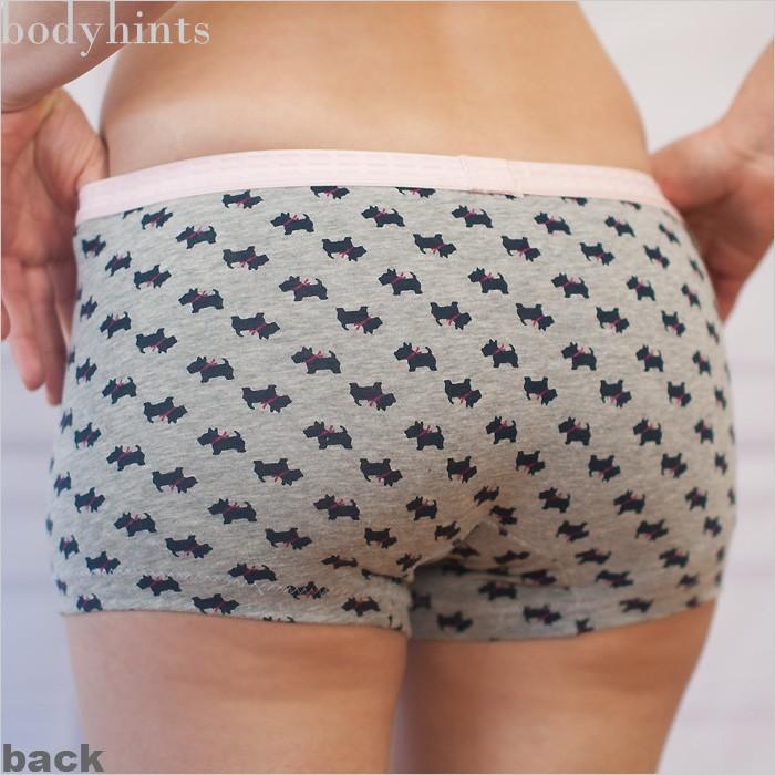 RAJA 犬柄 ボクシングショーツ RAJA ラジャ キックパンツ ムエタイ パンツ Classic Muay Thai