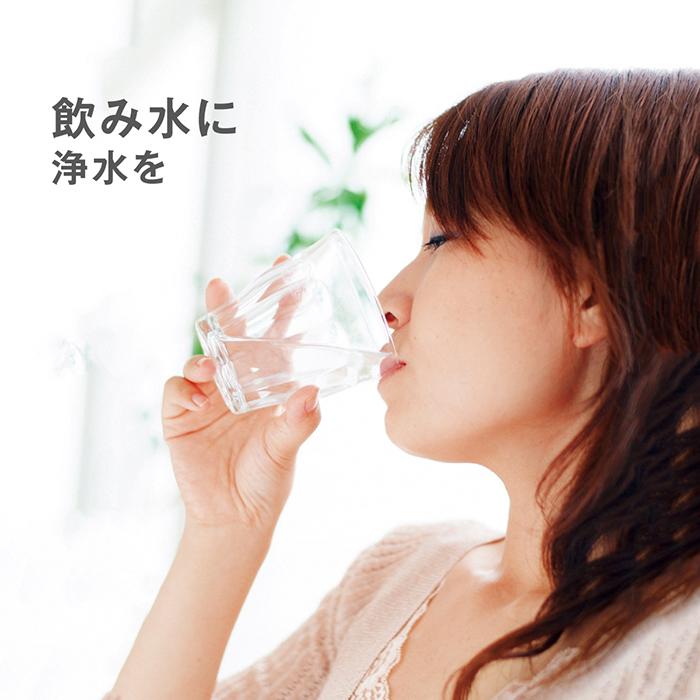 タカギ（takagi） 浄水器 公式店 蛇口直結 PFOS PFOA除去 日本製 安心