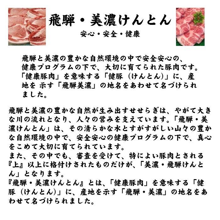 国産豚肉 焼肉セット 豚ロース 肩ロース 500g おいしい岐阜県産の豚肉 「けんとん豚」 バーベキュー BBQ 焼肉 スライス｜takagiseiniku｜02