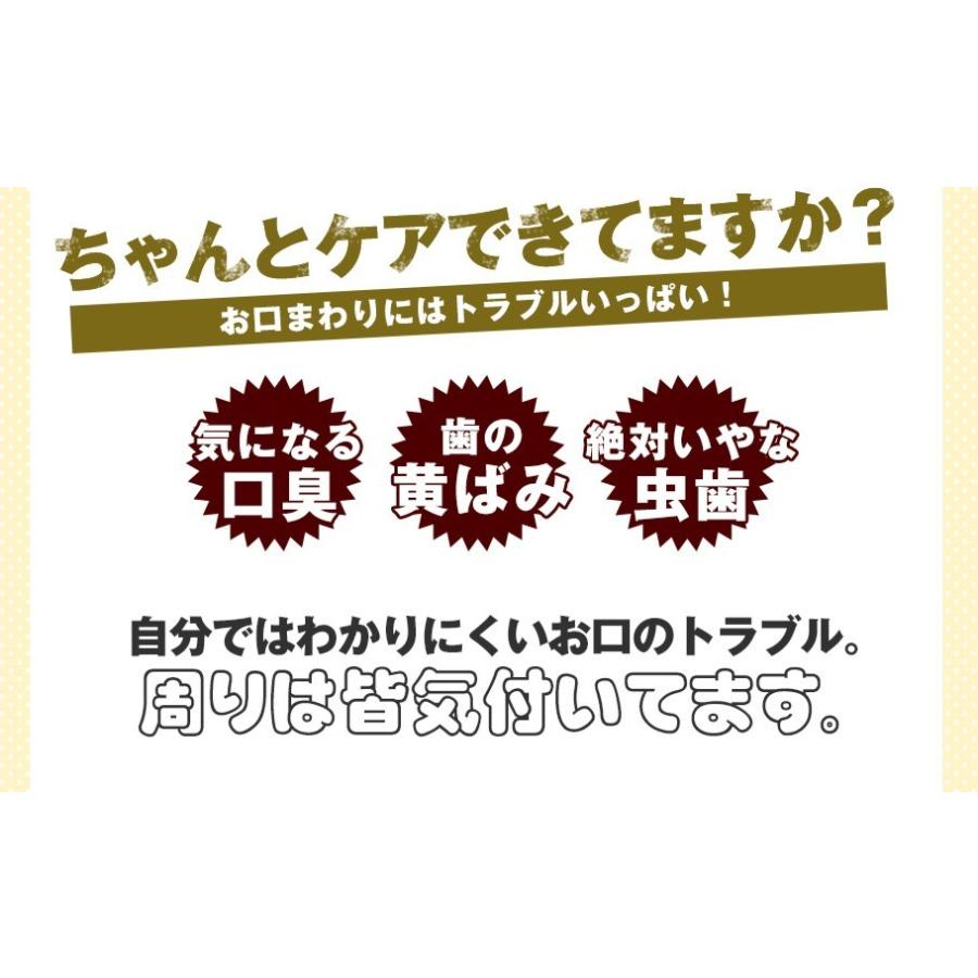 マウスフレッシュ秀 お徳用3本セット 洗口液 デンタルリンス マウスウォッシュ  歯周病予防 送料無料｜takagiyakuhin｜06