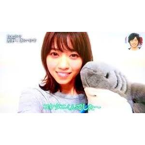 乃木坂46 西野七瀬 コケタニ君(Sharka) ぬいぐるみ/大 [並行輸入品 