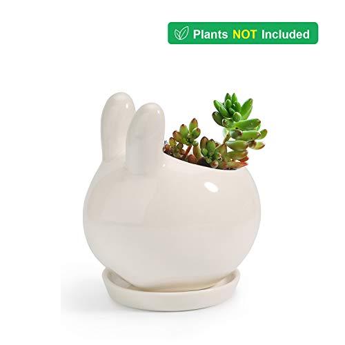T4u 5cm ミニ陶器鉢 植木鉢 多肉植物鉢 サボテン鉢 セラミックトレイ付き ミニ観葉植物適用 ウサギ Aqi Hi Bridgeストア 通販 Yahoo ショッピング