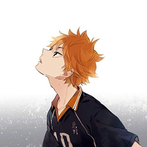 ハイキュー 日向 翔陽 ひなた しょうよう 風 コスプレ ウィッグ ヘアネット静電気防止くし Fxr1050 Hi Bridgeストア 通販 Yahoo ショッピング