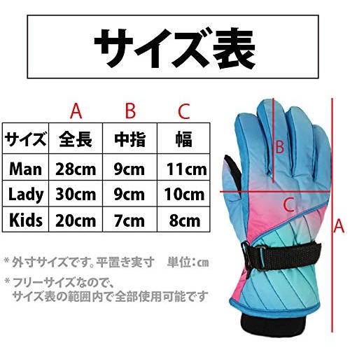 Tanoki スキーグローブ レディース キッズ スノボ グローブ おしゃれ 防水 防寒手袋 女性 子供用 厚手 滑り止め Izv Hi Bridgeストア 通販 Yahoo ショッピング