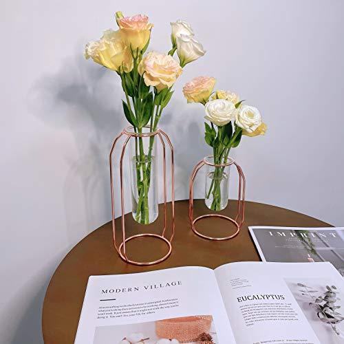 Ls Hyindoor 水耕栽培花瓶 金属枠 透明 ガラス花瓶 テラリウム容器 試験管花瓶 2個入 植物ポット フラワーベース Moz Hi Bridgeストア 通販 Yahoo ショッピング