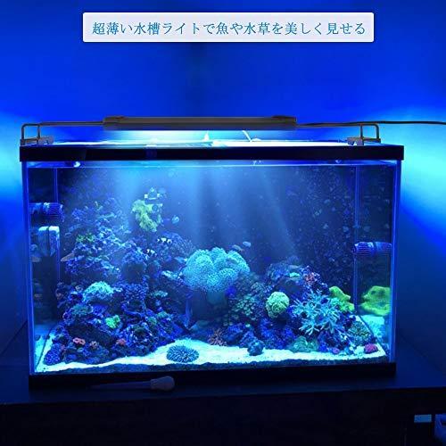 Zitrades アクアリウム ライト Led 水槽 ライト 水槽用 30 55cm水槽対応 照明 長寿命 省エネ Led36 7 5w 観賞魚 熱帯魚 水 Uyu Hi Bridgeストア 通販 Yahoo ショッピング