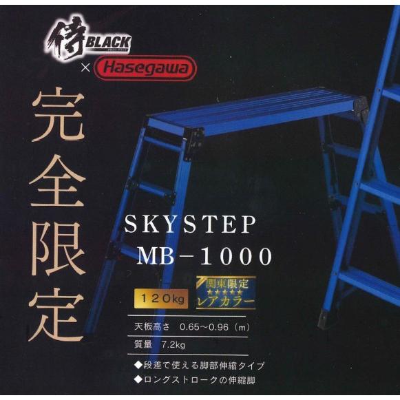 長谷川工業 完全限定 DRS-1000c ブルー SKYSTEP MB-1000 関東限定