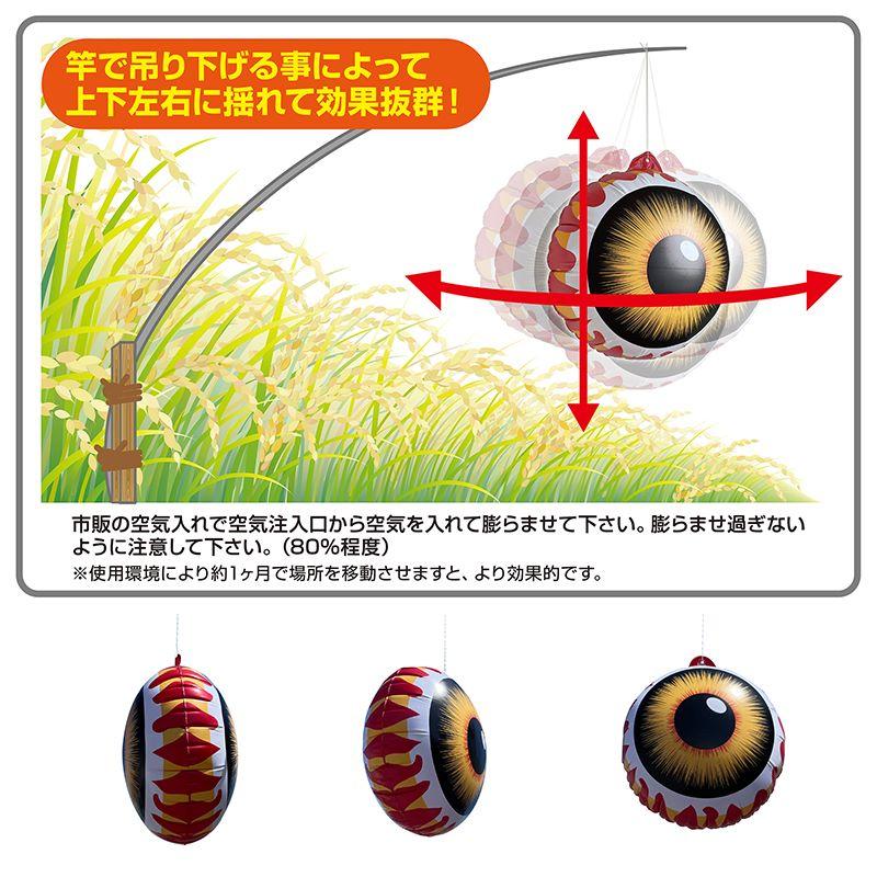 陽乃鳥（ひのとり）未開栓 Amazon | AioBos 角栓ピンセット 精密ピンセット 先端の幅は