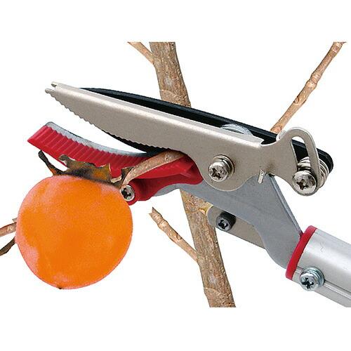 千吉 千吉(藤原産業) 軽量伸縮高枝切鋏 2段3M SGLP-11 : 高橋