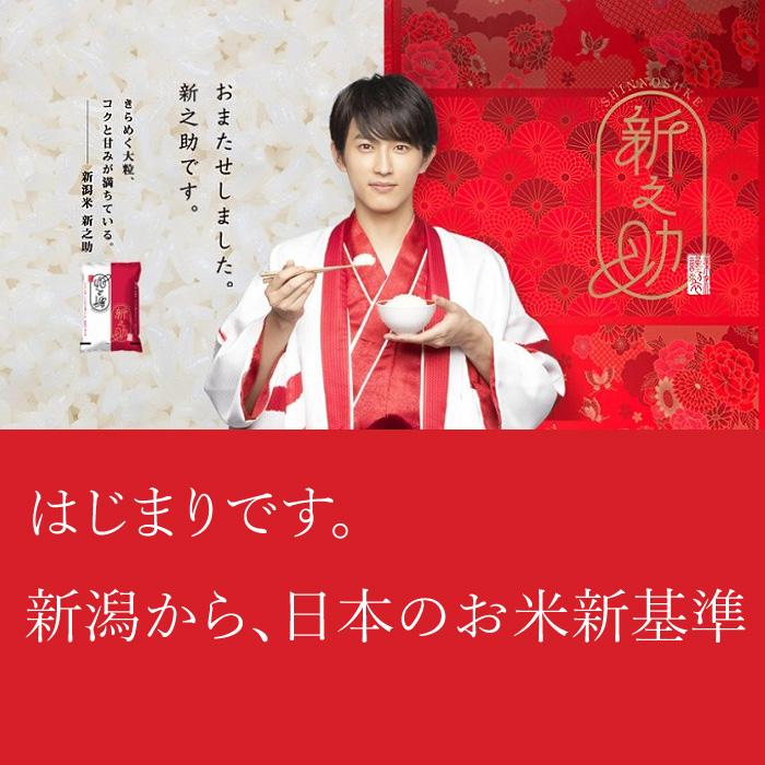 新之助（しんのすけ） 新潟米 新之助（ 令和7年産 ） 5kg 【 送料無料