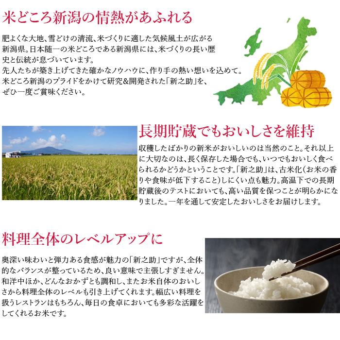 新之助（しんのすけ） 新潟米 新之助（ 令和7年産 ） 5kg 【 送料無料