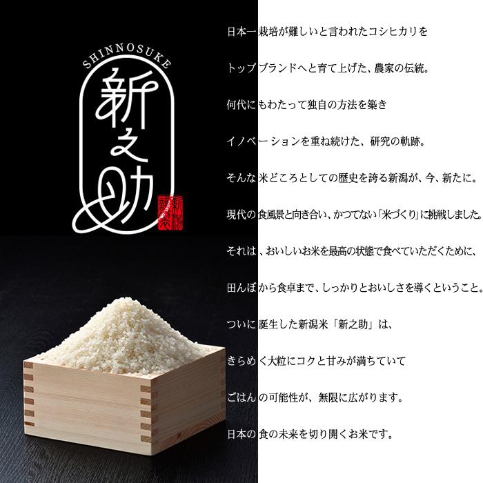 新之助（しんのすけ） 新潟米 新之助（ 令和7年産 ） 10kg （5kg×2袋
