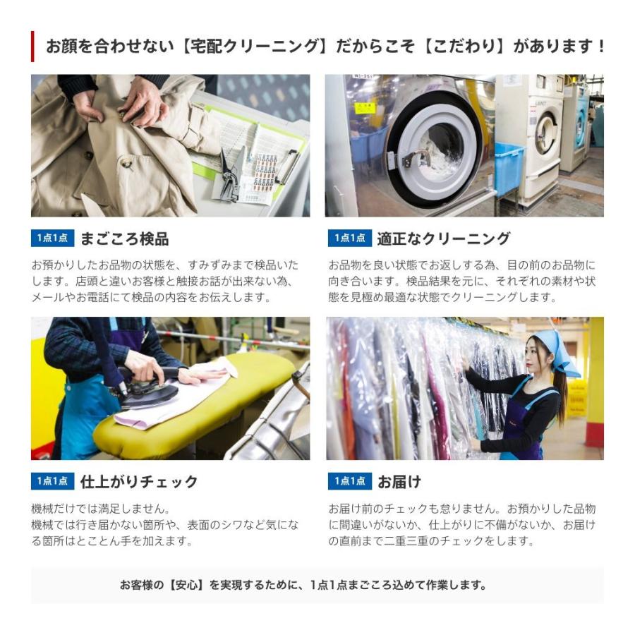 タカケンクリーニング クリーニング 宅配 撥水加工付 10点まで詰め放題