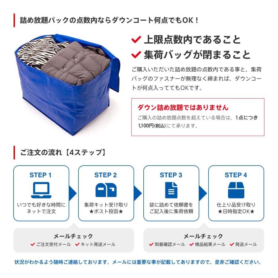 タカケンクリーニング クリーニング 宅配 撥水加工付 10点まで詰め放題