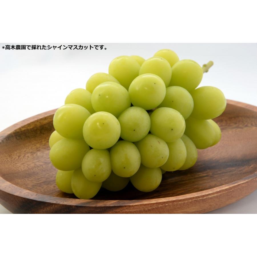 シャインマスカット新鮮蔵出し2キロ入り シャインマスカット” 秀品 3〜5房 約2kg 産地厳選【予約 8月下旬