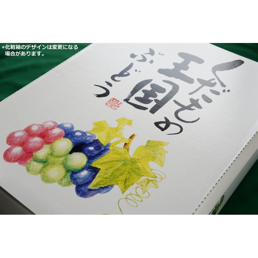 ■予約■ピオーネ2kg入り ぶどう 種なし 大粒 生産者直送 収穫当日発送 岡山県産 送料無料