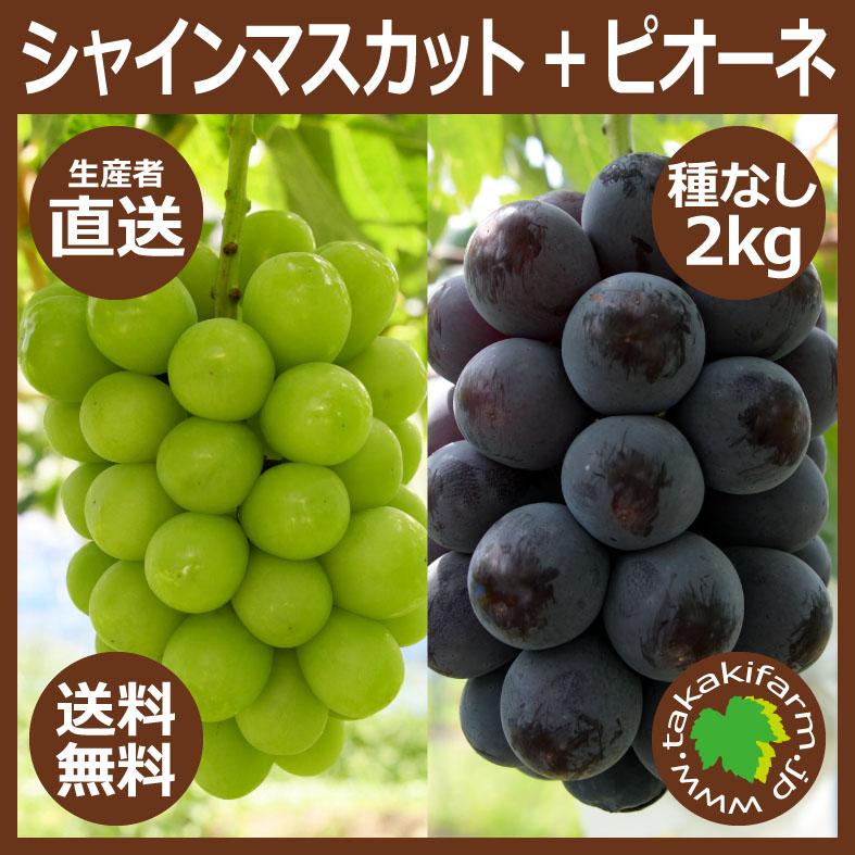 シャインマスカット+ピオーネ2kg入り ぶどう 種なし 大粒 生産者直送