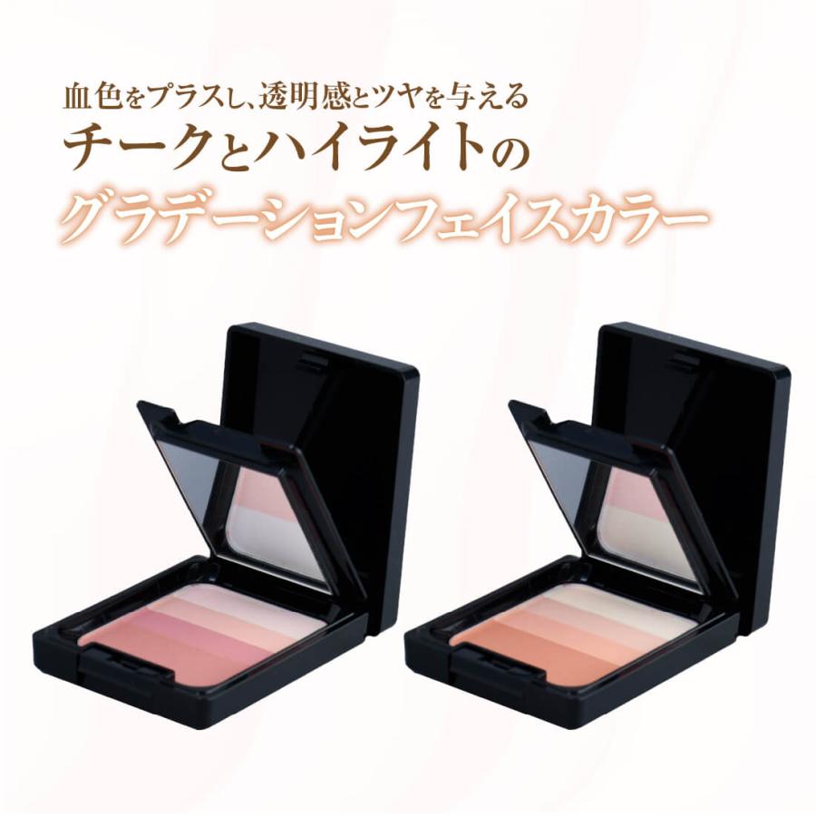 専用　スケルトン追加　頬チーク TAKAKO OHASHI デザイニングフェイスカラーEX グラデーション