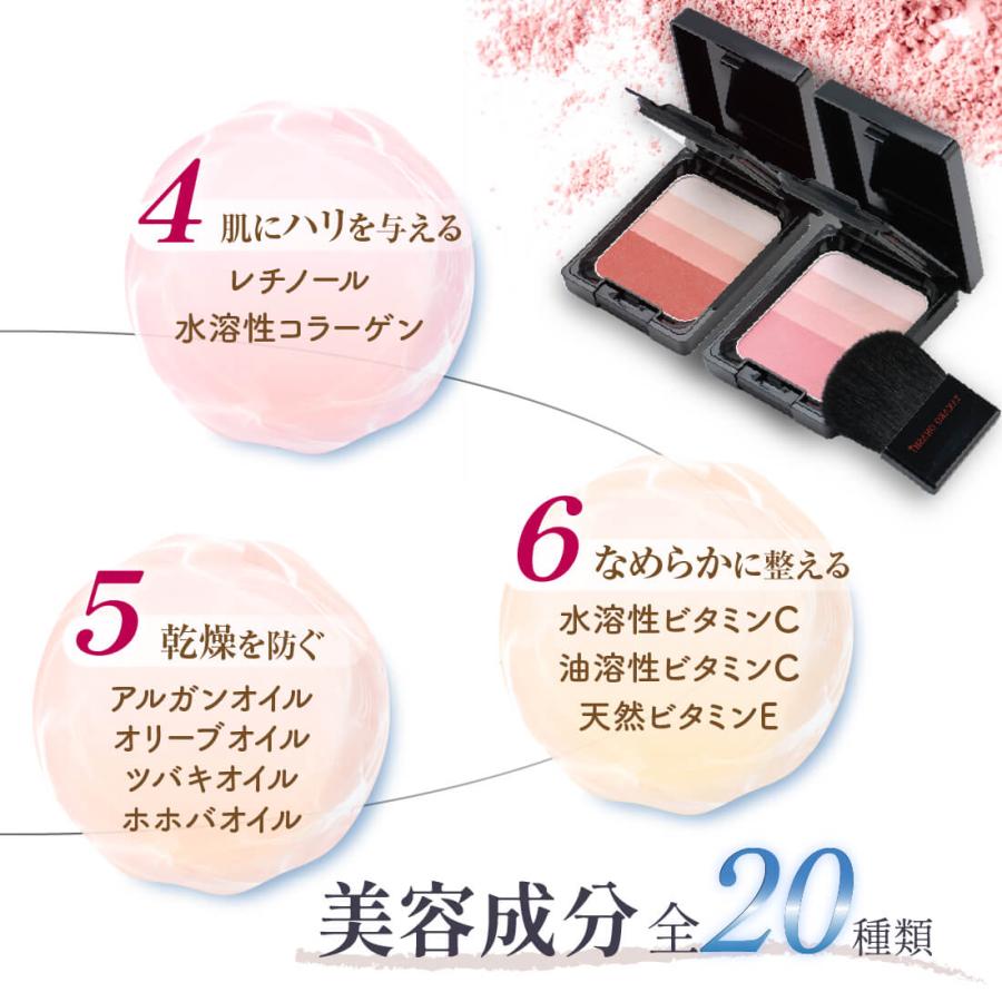 専用　スケルトン追加　頬チーク TAKAKO OHASHI デザイニングフェイスカラーEX グラデーション