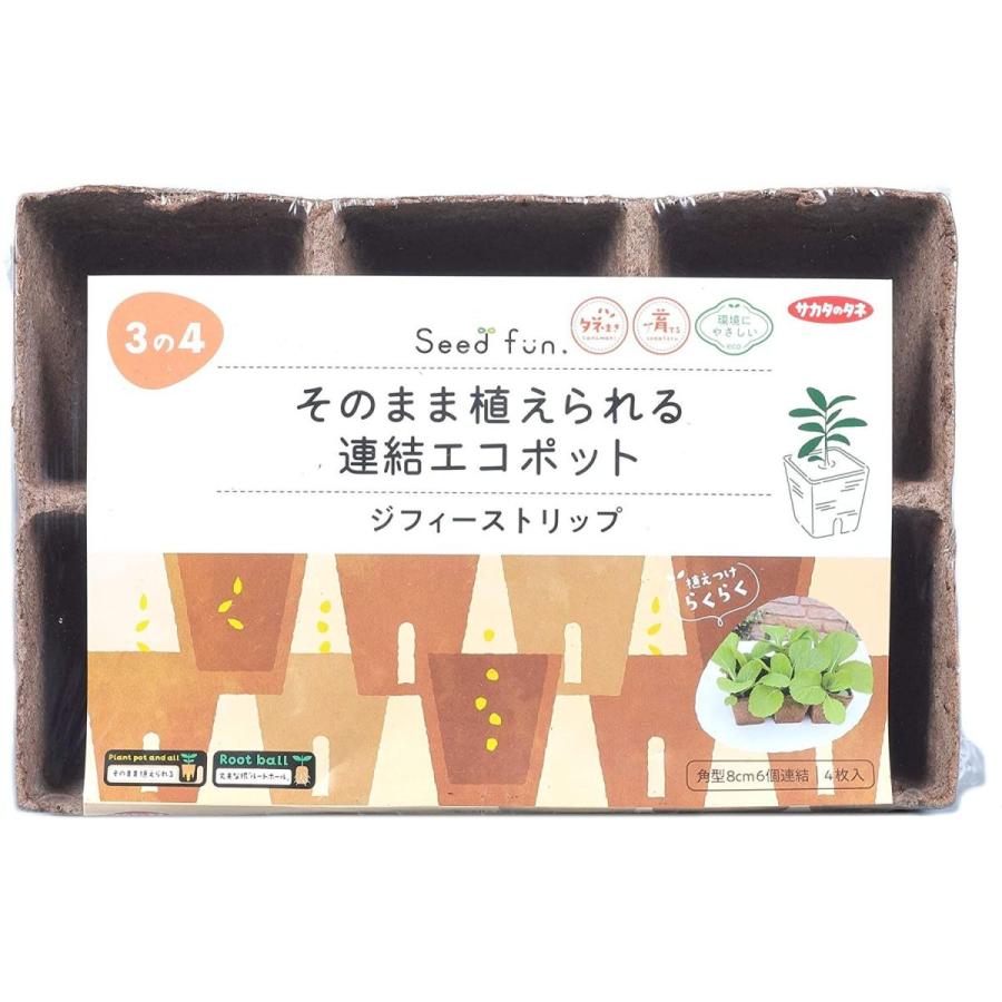 大きい割引 サカタのタネ そのまま植えられるエコポット ジフィーストリップ 角型8cm 6個連結4枚入 8cm Topdental Com Ar
