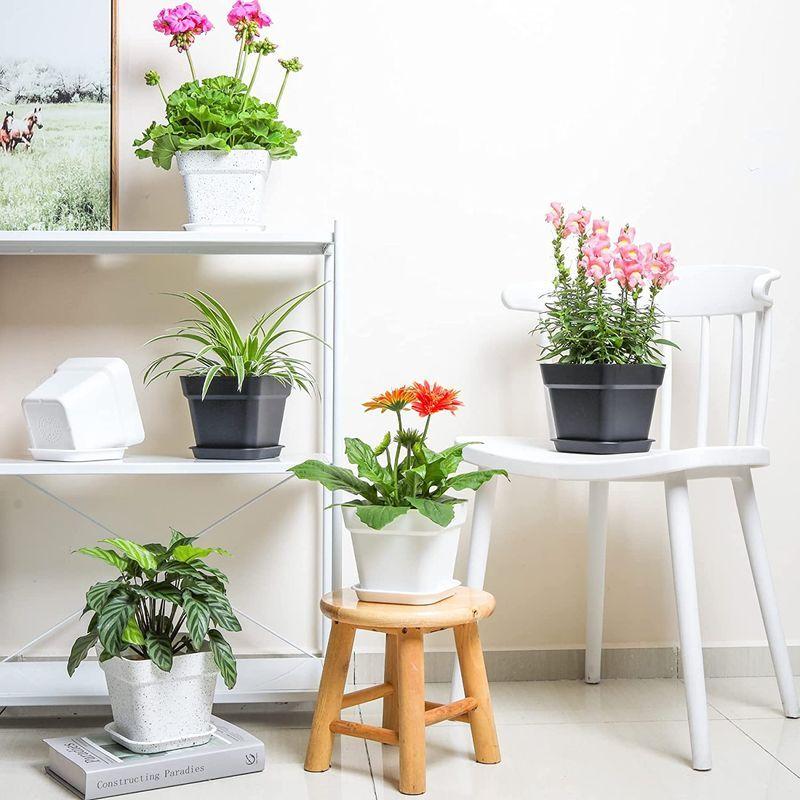 激安 5号鉢 スクエア鉢 プランター プラスチック 植木鉢 T4u 受け皿付き 花鉢 ハーブ鉢 多肉植物鉢 観葉植物鉢 室内 現代風 排水穴付き 植木鉢 Www We Job Com