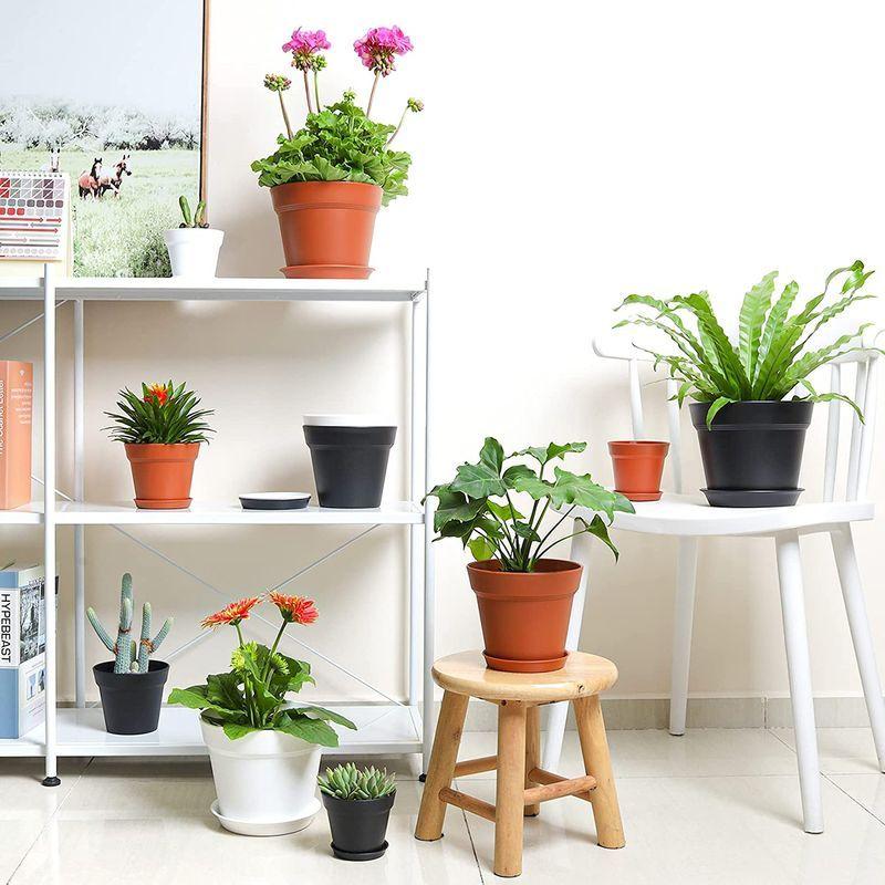 限定セール 受け皿付き 6点セット プランター プラスチック 植木鉢 T4u 排水穴付き 花鉢 ハーブ鉢 多肉植物鉢 観葉植物鉢 室内 現代風 6号鉢 植木鉢 Www We Job Com