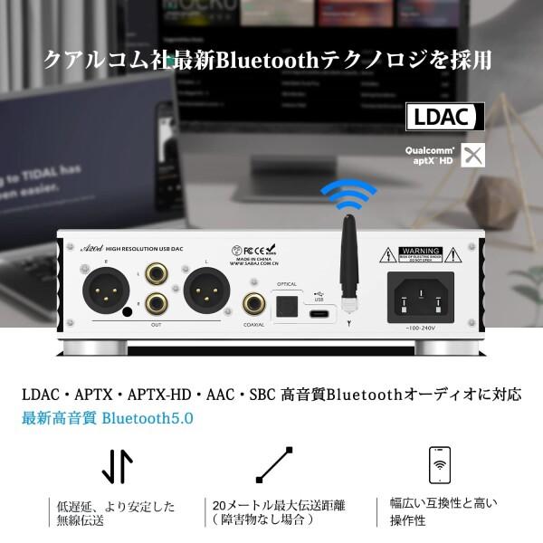 Sabaj A20d DAコンバーター & ヘッドホンアンプ 一体型 高性能 DAC
