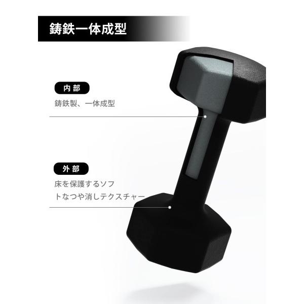 PROIRON ダンベル 鉄アレイ 2個セット 10kg ダンベルセット ソフト