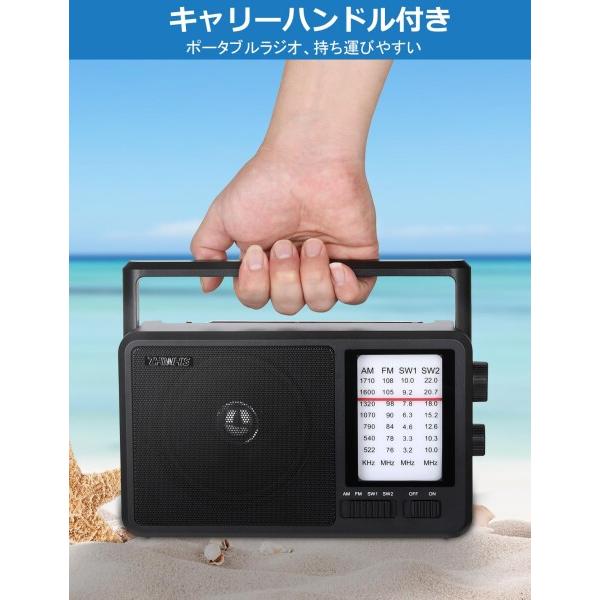 ZHIWHIS ラジオ FM/AM/短波/ワイドFM対応 乾電池式/外部電源使用可能