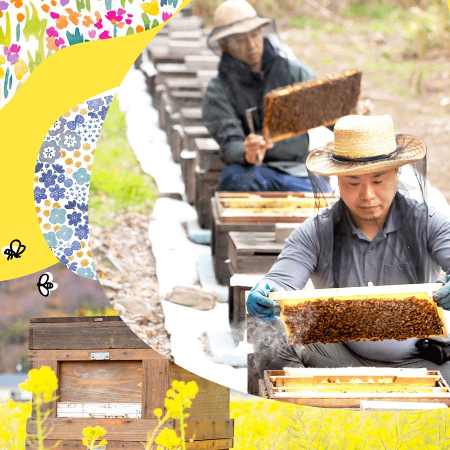 株式会社中田養蜂　香川県産　はちみつギフトセット（3本セット）　国産　蜂蜜（送料込み・常温）｜takamatsu-shimokasai｜05